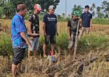 ‎Lestarikan Kearifan Lokal: Petani Marannu Gelar Mappalili, Panjatkan Doa Anti-Hama