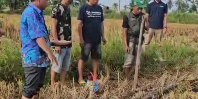 Lestarikan Kearifan Lokal: Petani Marannu Gelar Mappalili, Panjatkan Doa Anti-Hama