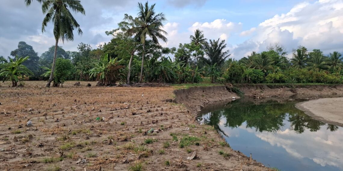 Abrasi Sungai Ancam Kebun dan Sawah Warga Desa Bungi
